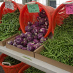 Farmer Wins Landmark Case Against Seed Giant for Substandard Produce