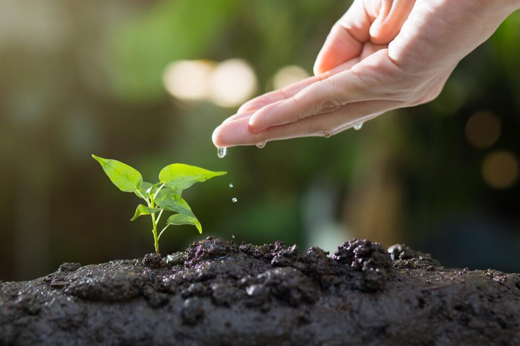 Navigating Agricultural Land Capital Gains Tax: ITAT Clarifies Section 54B Exemption Requirements