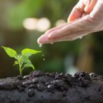 Navigating Agricultural Land Capital Gains Tax: ITAT Clarifies Section 54B Exemption Requirements