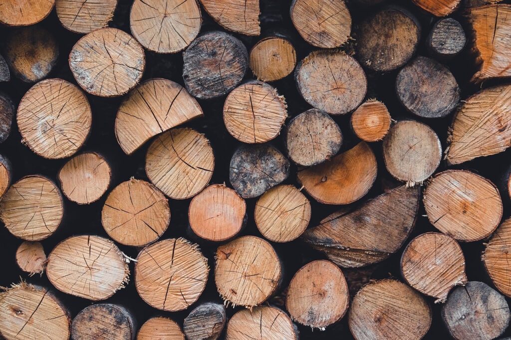 The Taxability of Standing Timber: Navigating GST Implications in Forest Auctions