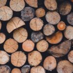 The Taxability of Standing Timber: Navigating GST Implications in Forest Auctions