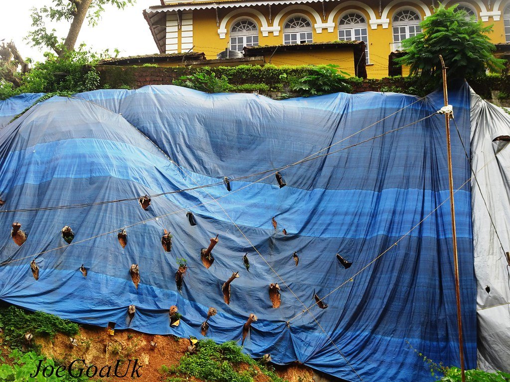 Bombay High Court Rules Bogus Purchases Insufficient for Section 69C Additions