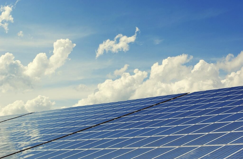 Judicial Review Focuses on Tamil Nadu Solar Power Project Dispute