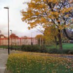 Catalyst Trusteeship Appeals Dismissed in Swastik Homebuild Insolvency Case