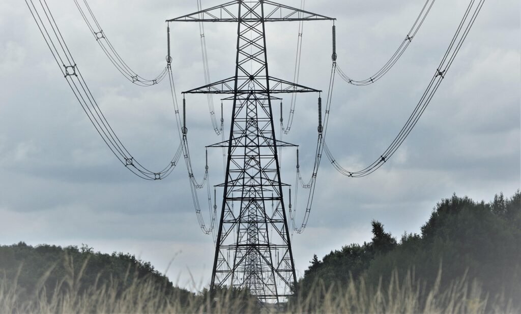 Legal Proceedings Unfold Over Ambernath Transmission Project in Maharashtra