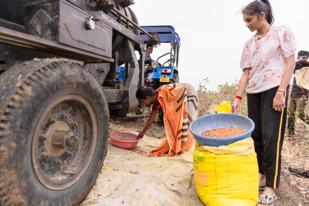 Indian farmers using a tractor during crop harvesting near Nagpur, India.