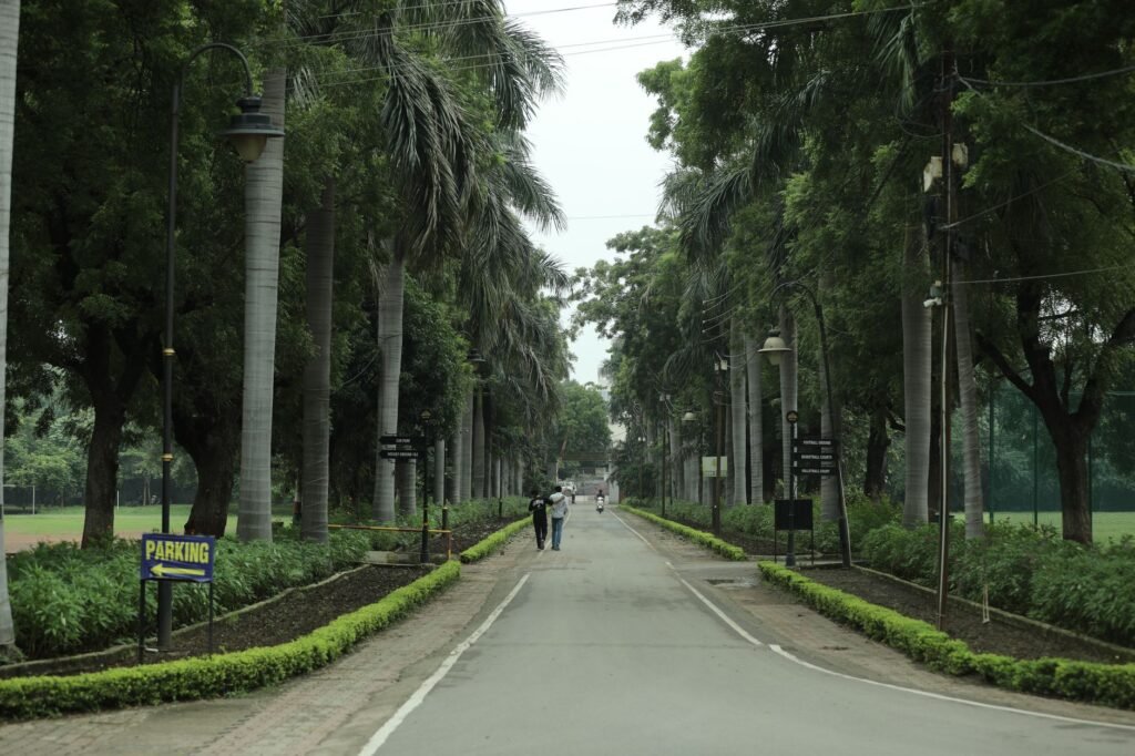 Scenic tree-lined road in Raipur, India, inviting view of a peaceful and lush environment.