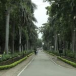 Scenic tree-lined road in Raipur, India, inviting view of a peaceful and lush environment.