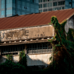 Old warehouse covered in vines, with modern buildings in the background.