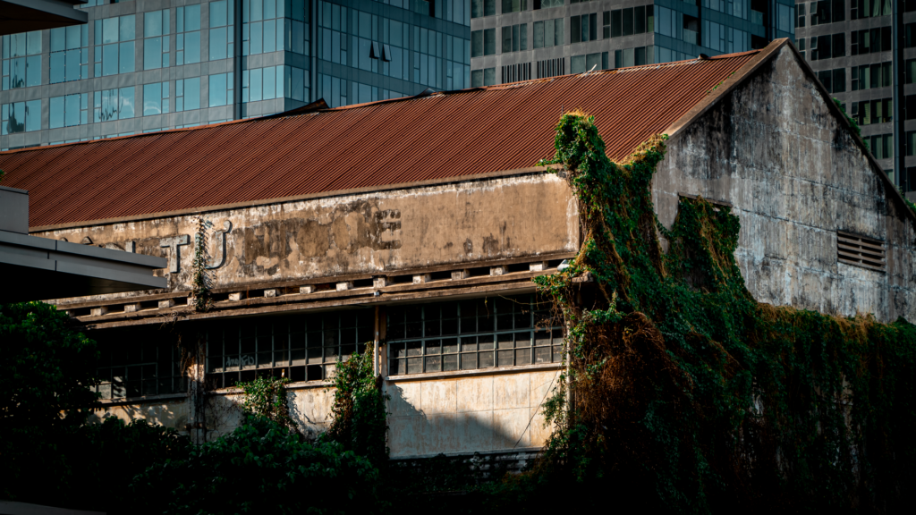 Old warehouse covered in vines, with modern buildings in the background.