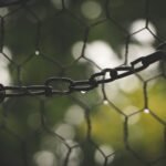 Close-up of a metal chain linked through a hexagonal mesh fence with blurred green background.