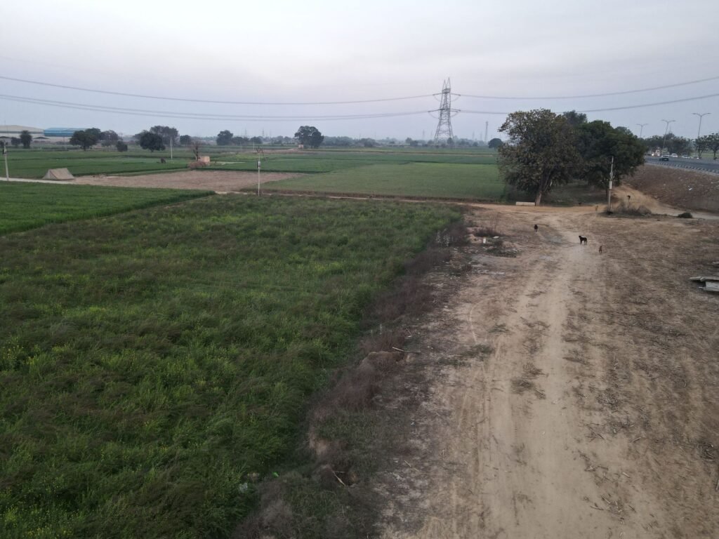 Serene rural scene in Ghaziabad, showcasing fields, dirt path, and distant power lines.