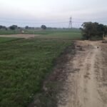 Serene rural scene in Ghaziabad, showcasing fields, dirt path, and distant power lines.