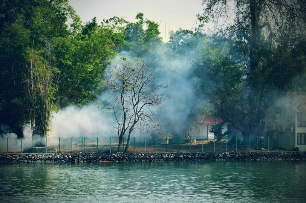 Tranquil lakeside view with misty trees in Ernakulam, India, showcasing serene nature.