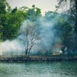 Tranquil lakeside view with misty trees in Ernakulam, India, showcasing serene nature.