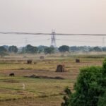 A serene rural landscape in Deeg, Uttar Pradesh, India with fields and power lines.